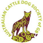 (image for) Australian Cattle Dog Society of GB