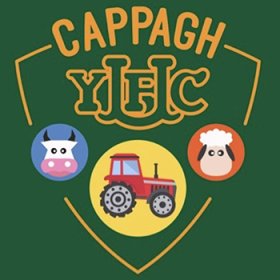 (image for) Cappagh YFCU Logo
