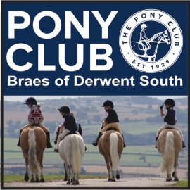 (image for) Braes of Derwent South PC