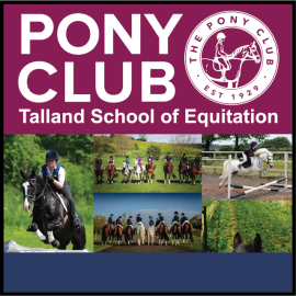 (image for) Talland Pony Club