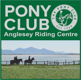 (image for) Anglesey Riding Centre Pony Club