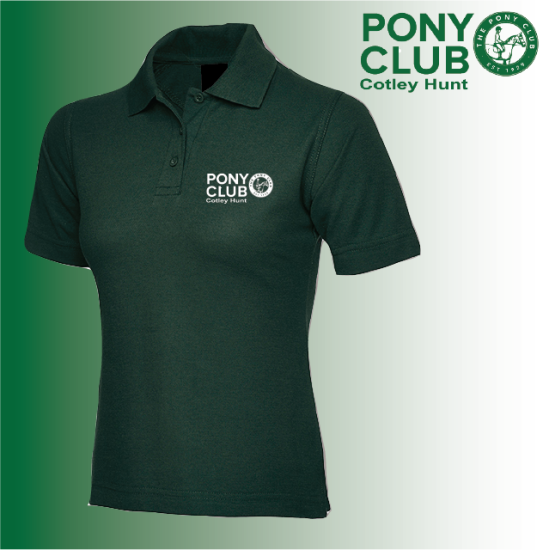 (image for) PC Ladies Polo Shirt (UC106)