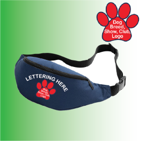 Belt Bag (BG42) (image for) Belt Bag (BG42)