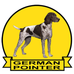 (image for) German Shorthaired Pointer (GERM087)