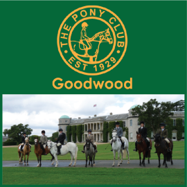 (image for) Goodwood Pony Club NEW