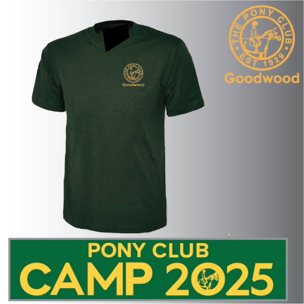 (image for) PC Child Classic T-Shirt (UC306)