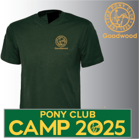 (image for) PC Unisex Classic T-Shirt (UC301)