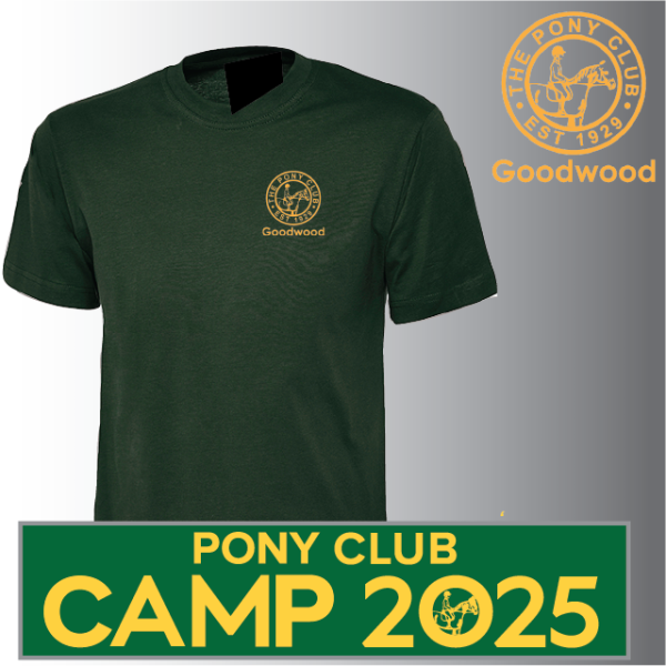 (image for) PC Unisex Classic T-Shirt (UC301)