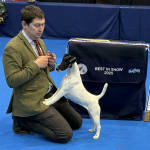 (image for) LKA 2025 Best in Show