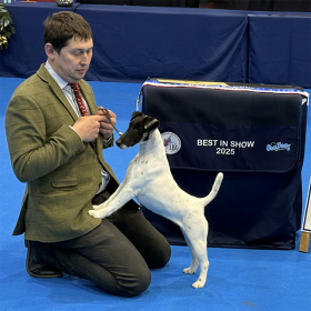 (image for) LKA 2025 Best in Show