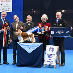 (image for) LKA 2025 Reserve Best in Show