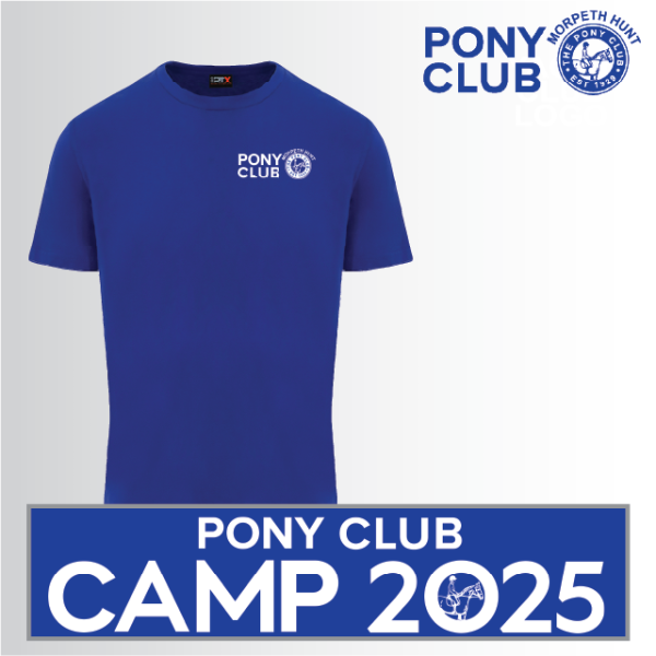 (image for) PC Child Classic T-Shirt (UC306)