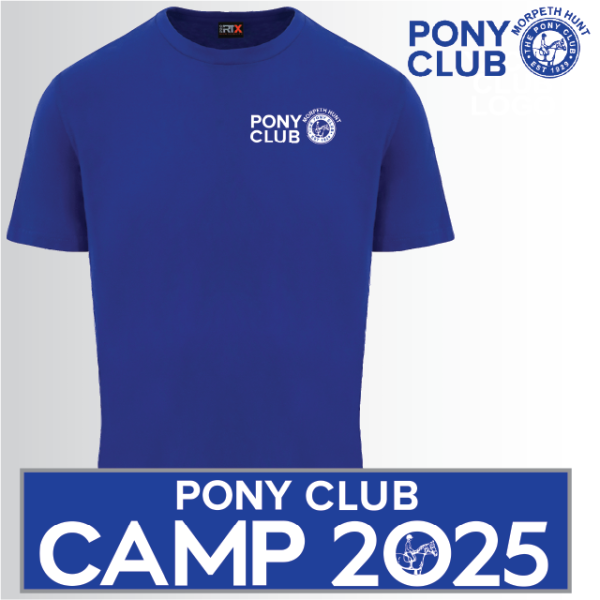 (image for) PC Unisex Classic T-Shirt (UC301)