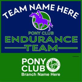 (image for) PC Endurance Team Gear