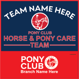 (image for) PC Horse & Pony Care Team Gear