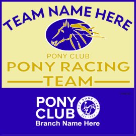 (image for) PC Pony Racing Team Gear