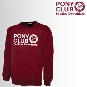 PC Child Classic Sweat Shirt (UC202) (image for) PC Child Classic Sweat Shirt (UC202)
