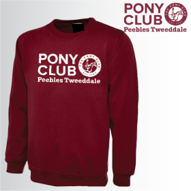 PC Adult Unisex Sweat Shirt (UC203) (image for) PC Adult Unisex Sweat Shirt (UC203)