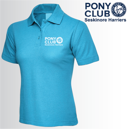 (image for) PC Ladies Polo Shirt (UC106)