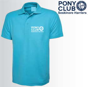 (image for) PC Mens Polo Shirt (UC101)