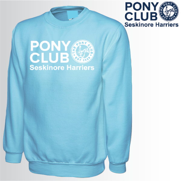 (image for) PC Adult Unisex Sweat Shirt (UC203)