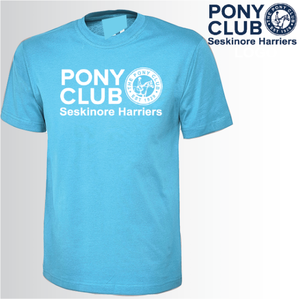 (image for) PC Unisex Classic T-Shirt (UC301)