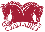 (image for) Talland School of Equitation