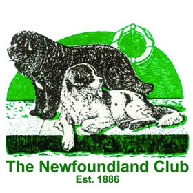 (image for) The Newfoundland Club