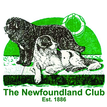 (image for) The Newfoundland Club