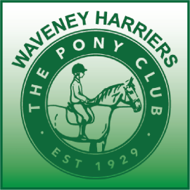 (image for) Waveney Harriers Pony Club