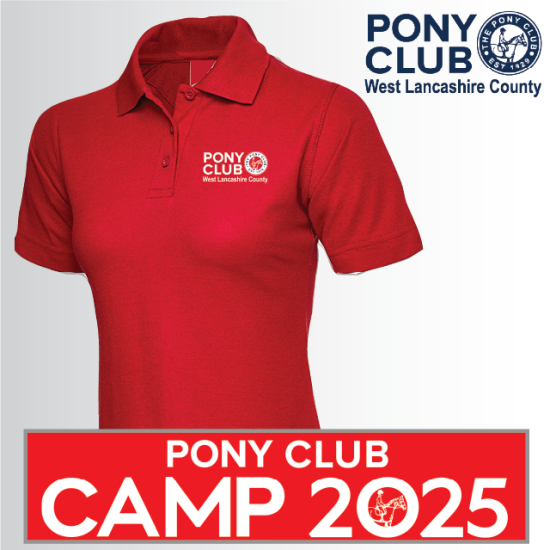 (image for) PC Ladies Polo Shirt (UC106)