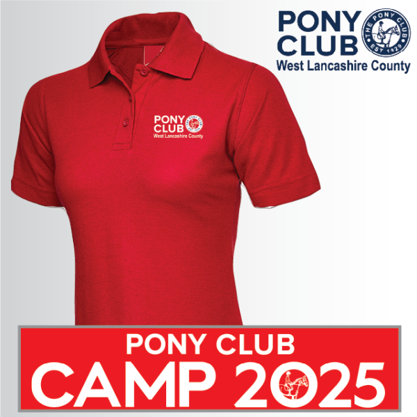 (image for) PC Ladies Polo Shirt (UC106)