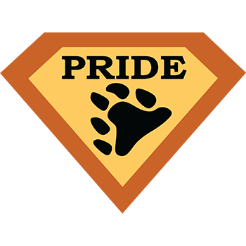 (image for) PRB003 - Super Pride Bear